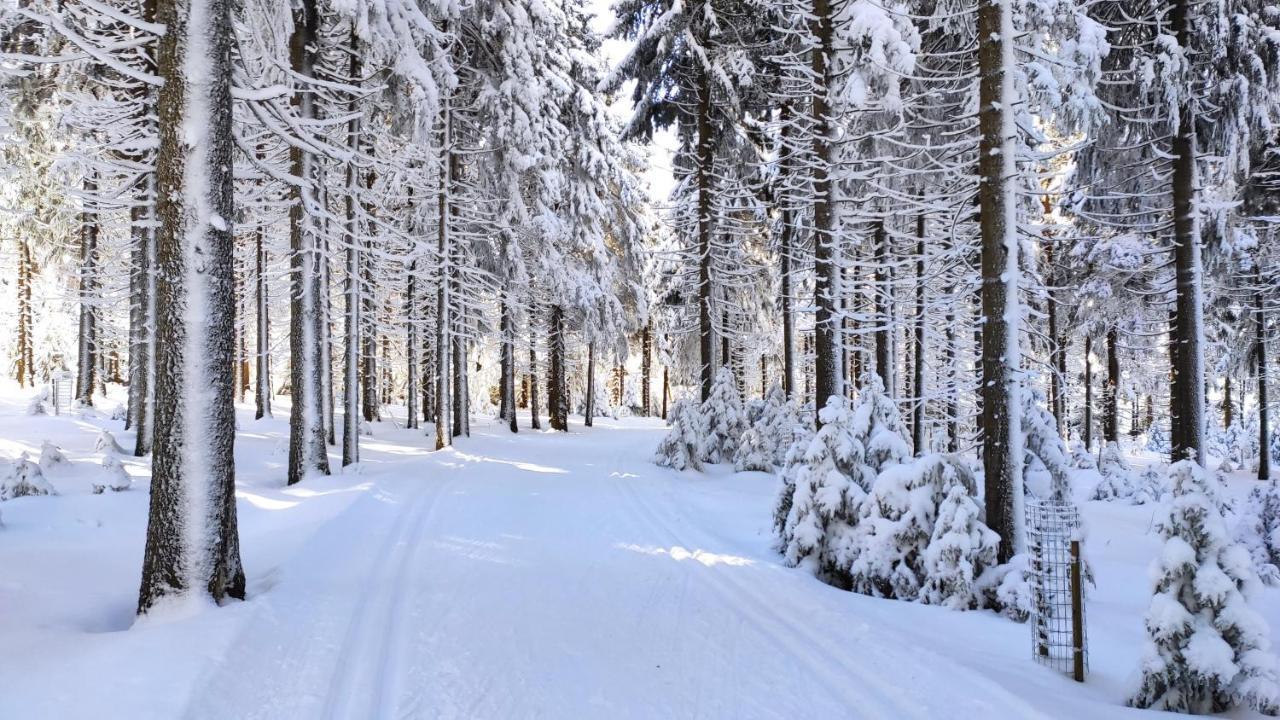 Apartmany U Muzea Horní Blatná Buitenkant foto