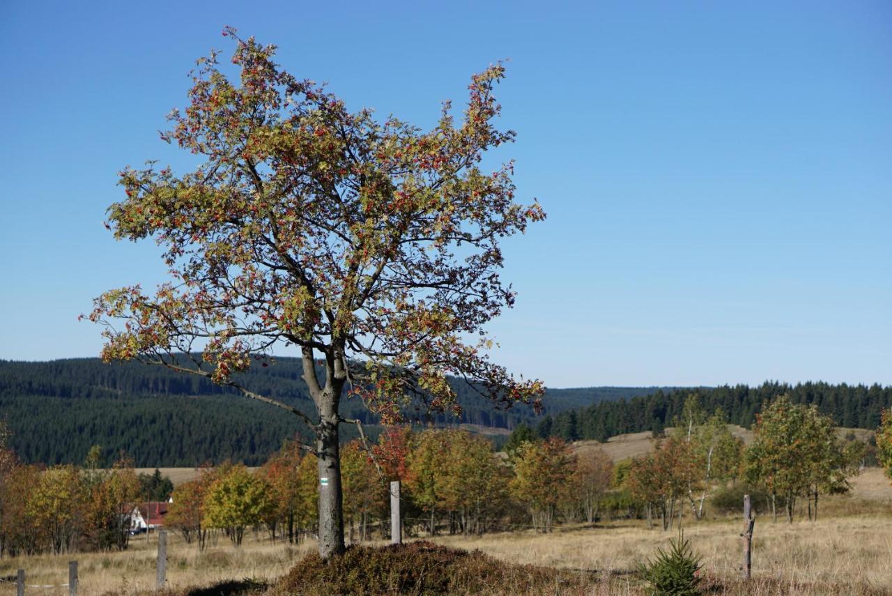 Apartmany U Muzea Horní Blatná Buitenkant foto